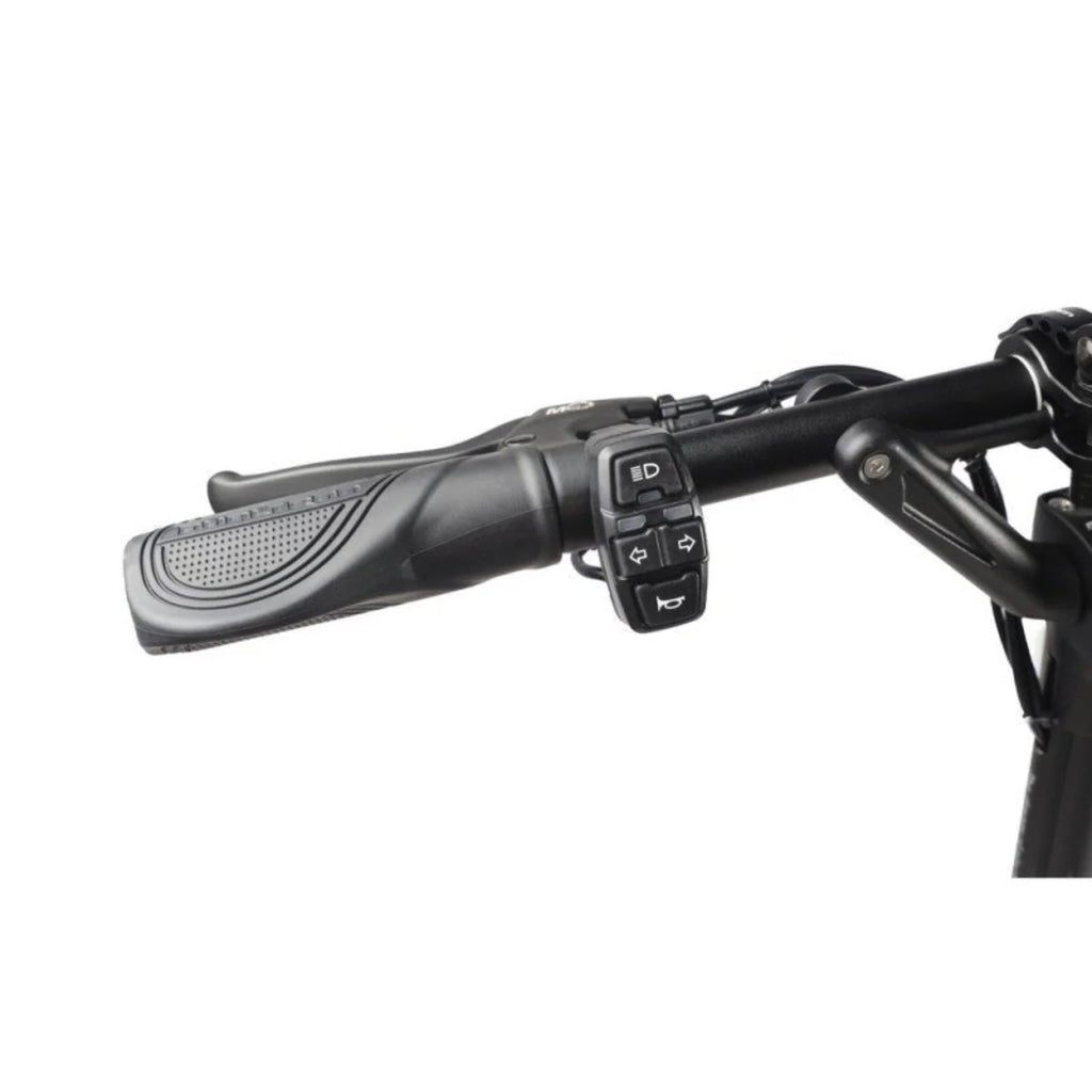 Trottinette Électrique Dualtron Aminia : Rapide et Polyvalente Double moteur 52V 15.6AH EY4